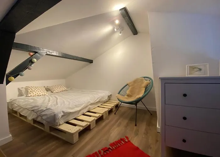 L8 公寓 科帕奥尼克